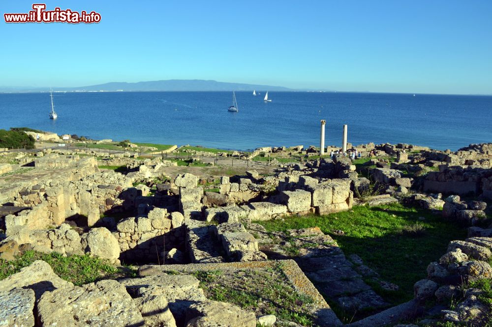 Immagine Un pomeriggio a Tharros, tra gli scavi dell'area archeologica affacciata sulle acque del Mediterraneo.