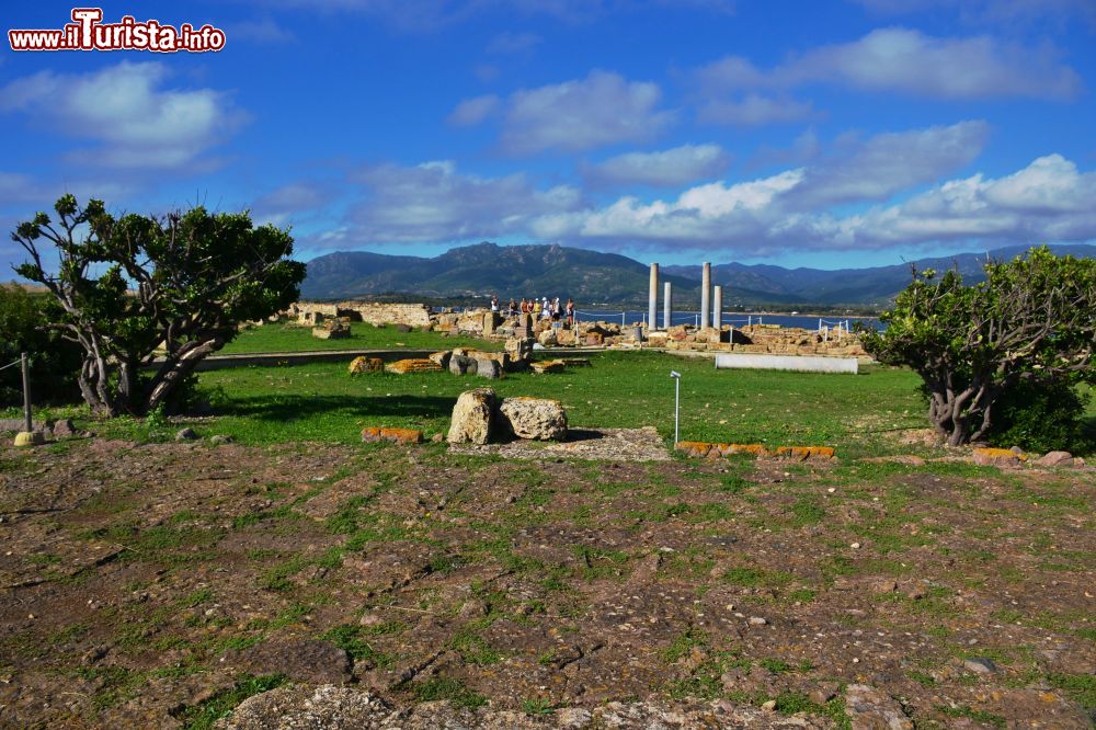 Immagine Nora (Sardegna): sullo sfondo si notano le colonne dell'iconica casa dell'atrio tetrastilo.