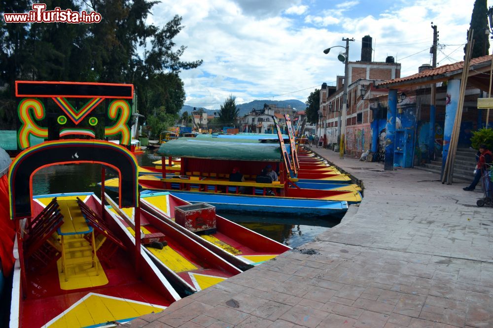 Immagine L'embarcadero Caltongo a Xochimilco, dove si prendono le trajineras per una gita tra i canali.