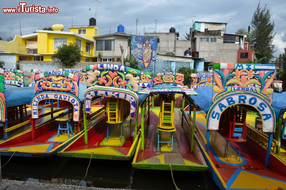 Immagine Dall'embarcadero Salitre si prendono le trajineras per una gita tra i canali di Xochimilco.