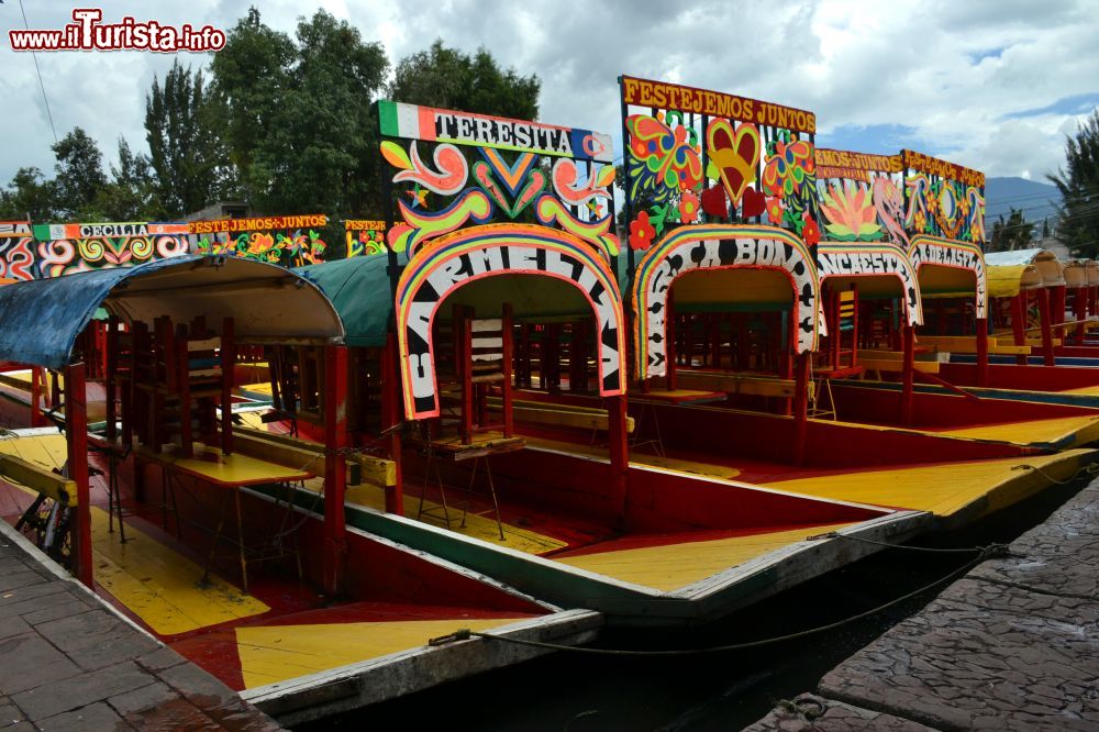 Immagine I prezzi e le norme di una gita con la trajinera tra i canali e le chinampas di Xochimilco sono regolamentati.