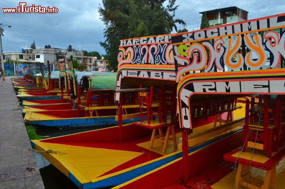 Immagine Nel fine settimana molti turisti e gli stessi abitanti di Città del Messico amano fare una gita lungo i canali di Xochimilco a bordo delle trajineras.