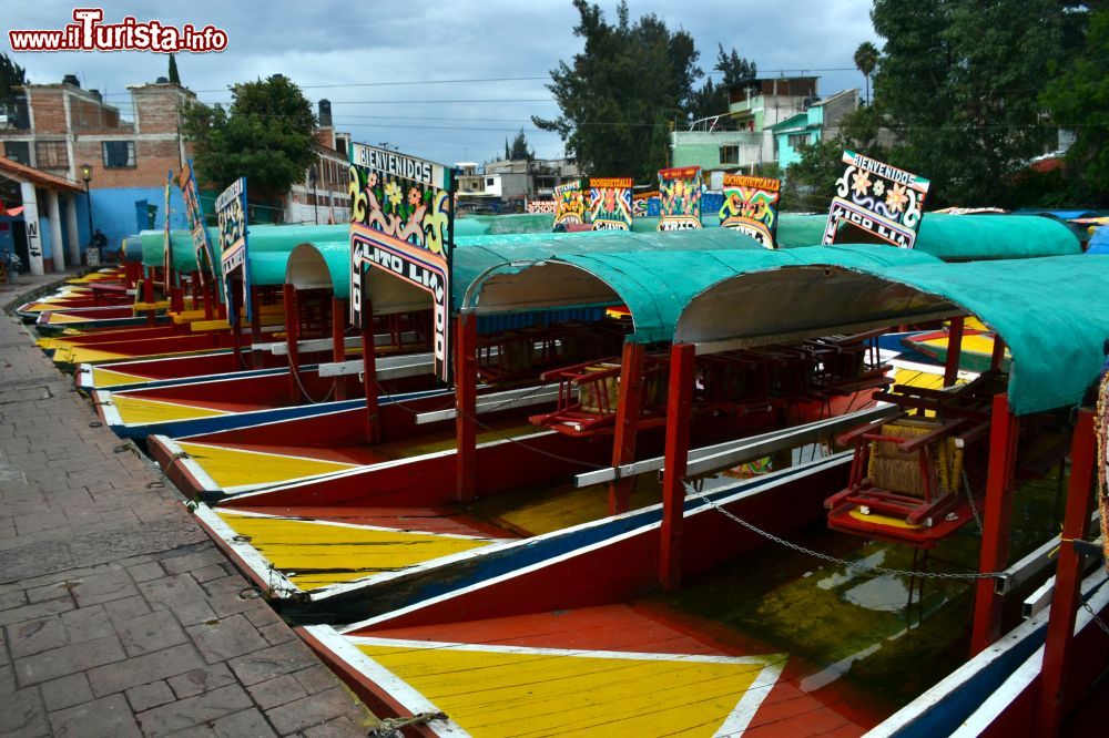 Immagine Le trajineras si prendono nei tanti imbarcaderi sparsi tra i canali di Xochimilco.

p { line-height: 115%; margin-bottom: 0.25cm; background: transparent }