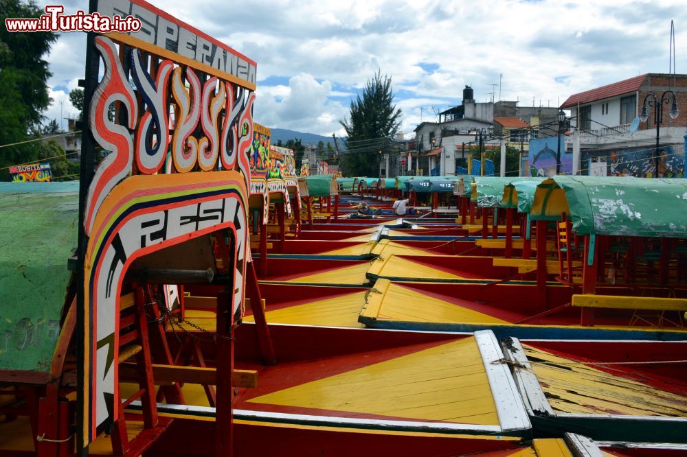 Immagine Le trajineras presso l'embarcadero Salitre a Xochimilco (Città del Messico).