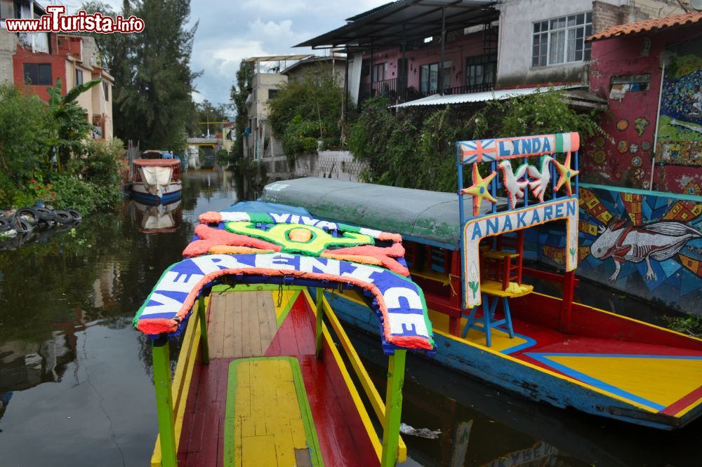 Immagine Xochimilco è uno dei 16 distretti di Città del Messico. Si trova nella zona sud-est della capitale ed è famoso per i suoi canali.