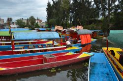 Xochimilco è famosa per le sue trajineras che percorrono i 148 km di canali e chinampas.