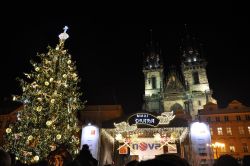 Il grande albero di Natale di Praga, nella Piazza ...