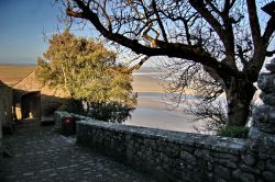 Scendendo dalla visita della Abbazia di Monte ...