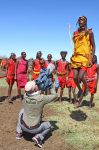 Le danze dei Masai, con dei salti impressionanti ...