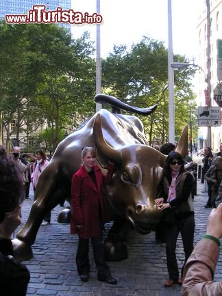 Immagine El Toro di Wall street