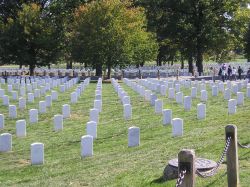  Washington: Arlington il Cimitero Monumentale