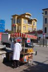 Venditore Castagne nel quartiere di Sultanahmet ...