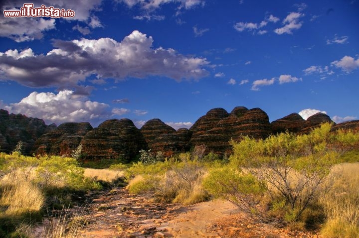 Bungle Bungle, le particolari rocce del Purnululu National Park in Western Australia. Queste arenarie risalgono al periodo devoniano, ma sono state modellate "appena" 20 milioni di anni fa dall'azione degli agenti atmosferici. Sono costituite da rocce molto friabili ed è vietato scalarle per non rovinare il delicato substrato di arenarie e cianobatteri