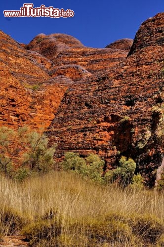 I colori dellle rocce. Purnululu National Park. Una delle caratteristiche più spettacolari dei Bungle Bungle sono i contrasti cromatrici tra strati arancioni e neri, che si fondono alle tinte pastello di cielo e savana