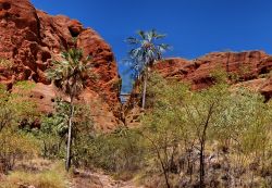 Ingresso nell'Echidna Chasm al Purnululu ...