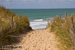 Ile d'Oleron, la baia e la spiaggia della ...