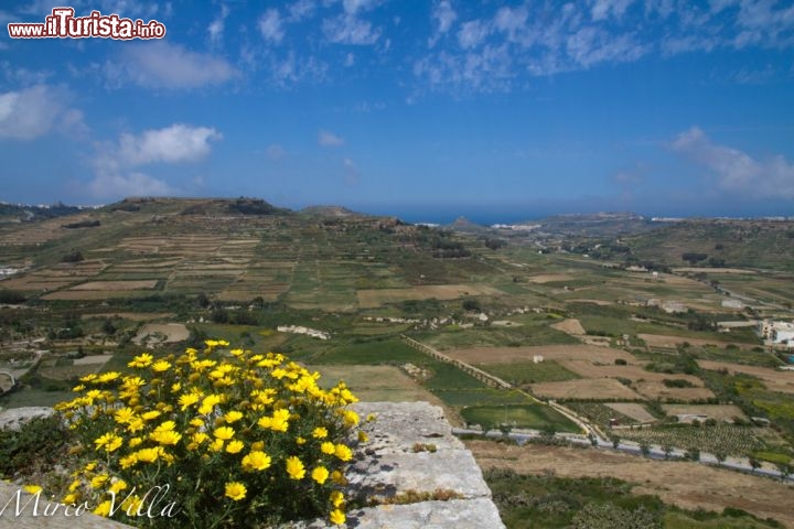 Panorama di Gozo visto dalla Cittadella di Victoria - Trovandosi al centro dell'isola di Gozo, la Cittadella di Vittoria, detta anche più semplicemente Rabat, offre magnifiche viste panoramiche sulle campagne dell'isola.