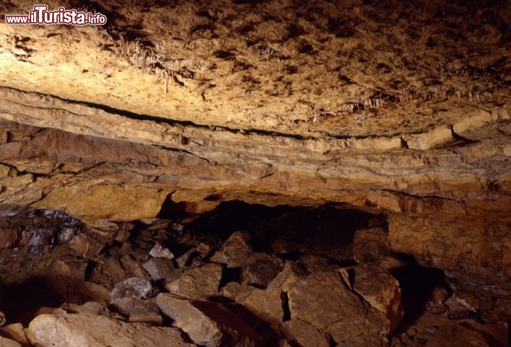 Immagine Interno della Grotta di Altamira a Santillana del Mar