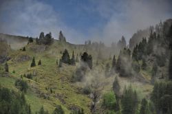 Passo San Pellegrino la nebbia dopo la pioggia ...