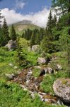 Torrente al Fuciade in trentino