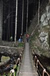 Un ponte nel trekking notturno alla cascatella ...