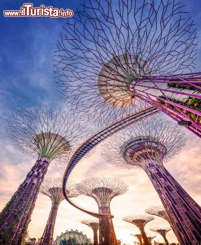 Immagine Super alberi Singapore Gardens By the Bay