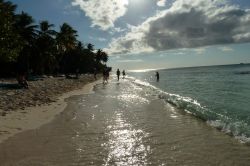 Isola di Saona, Repubblica Dominicana - Foto di Betty Zedda