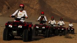 Quad in azione
DONNAVVENTURA 2010 - Tutti i diritti riservati - All rights reserved