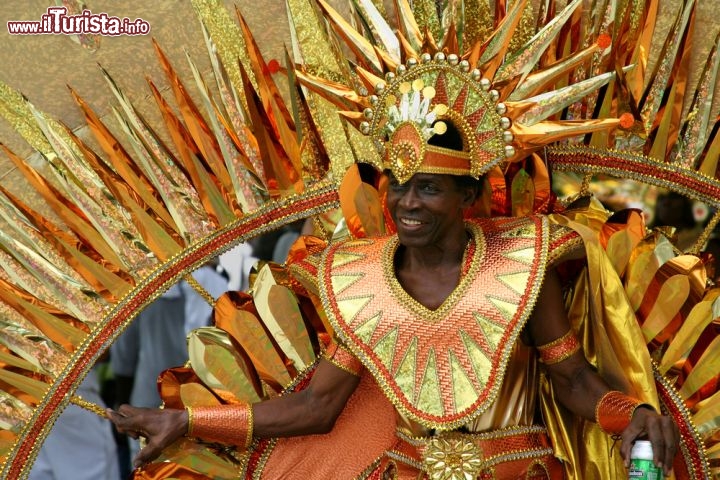 Un altro esempio di costume variopinto al Carnevale delle Isole Vergini (USA) - © Cathleen A Clapper / Shutterstock.com