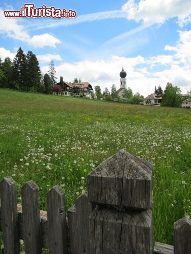 Immagine Oberbozen, un alpeggio sopra Bolzano