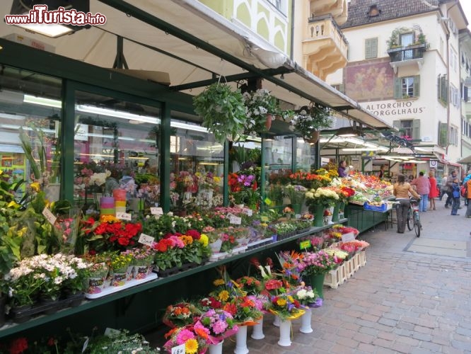 Immagine Mercato ortofrutticolo di Bolzano durante il Festival del Gusto