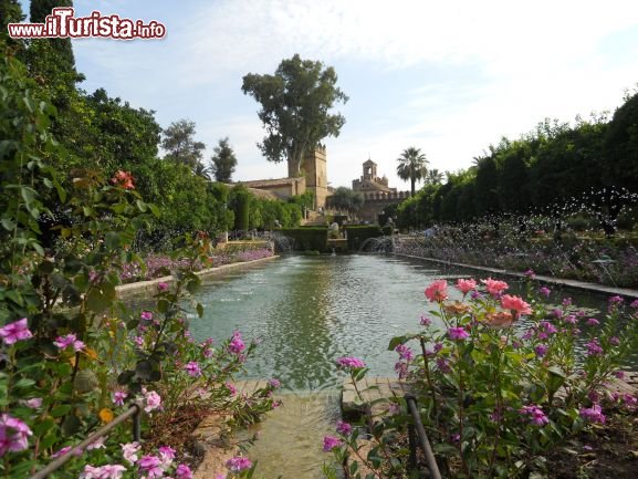 Immagine nei giardini dell'Alcazar dei Re Cristiani - Cordoba