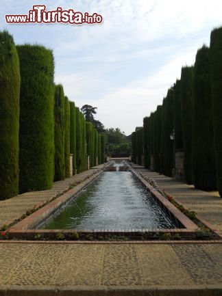 Immagine nei giardini dell'Alcazar dei Re Cristiani - Cordoba