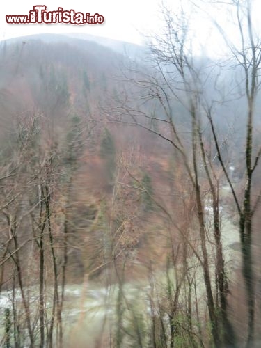 Immagine il trenino panoramico Centovalli, purtroppo il tempo meteorologico non ha consentito di godere delle belle viste di questa linea ferroviaria