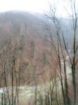 il trenino panoramico Centovalli, purtroppo il tempo meteorologico non ha consentito di godere delle belle viste di questa linea ferroviaria