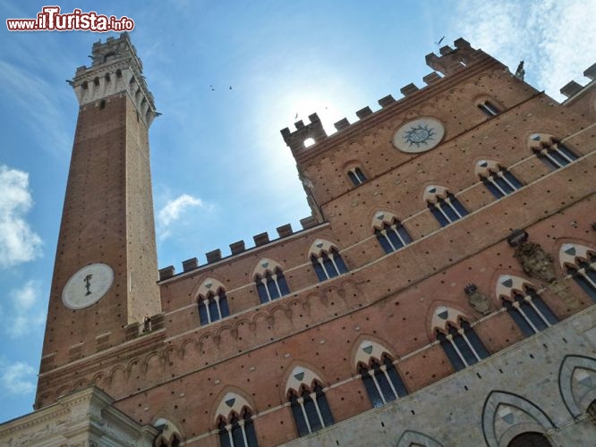 Immagine Facciata del Palazzo Pubblico di Siena e l'imponente Torre del Mangia, sotto la cui ombra sta Piazza del Campo