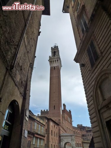 Immagine Gli 88 metri d'altezza della Torre del Mangia svettano tra i palazzi di via Rinaldini a Siena
