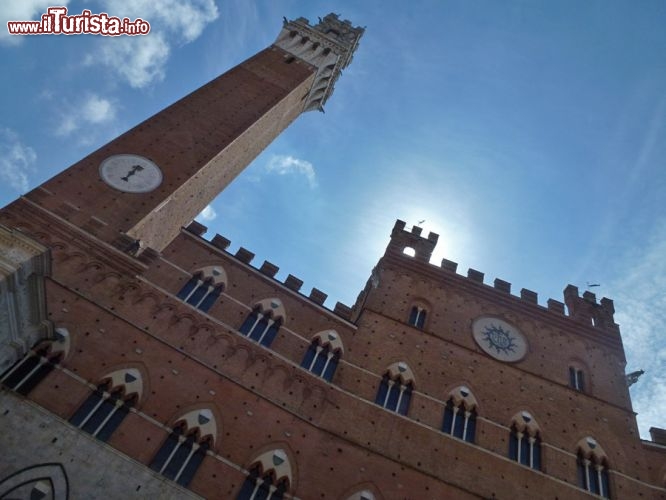 Immagine Facciata del Palazzo pubblico, edificio senese che ospita il Museo Civico di Siena. A sinistra la Torre del Mangia