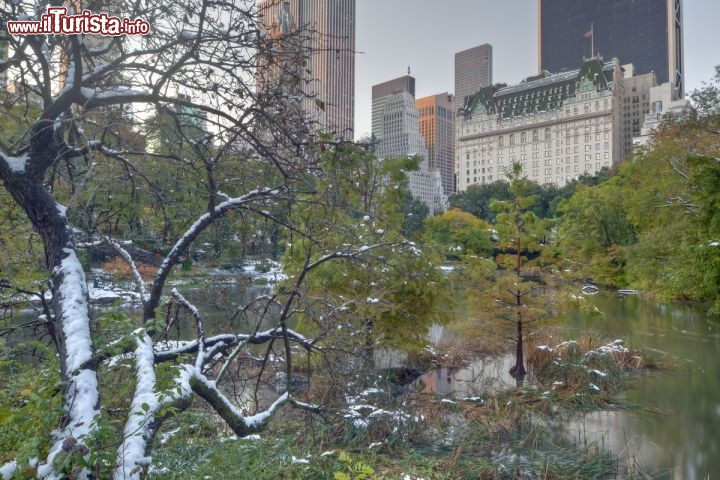 Immagine Plaza Hotel, l'albergo storico di New York City con vista su Central Park a Manhattan - © John A. Anderson / Shutterstock.com