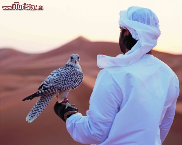 Immagine Falconeria, Abu Dhabi: la falconeria negli Emirati Arabi Uniti è più di un semplice sport. È una tradizione che affonda le proprie radici tra le popolazioni beduine del deserto dei secoli scorsi - Foto TCA Abu Dhabi