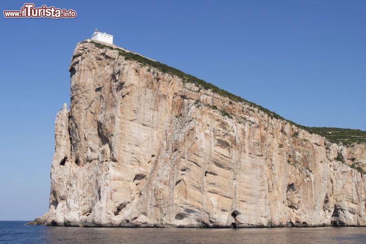 Capo Caccia, le rocce a picco nel nord-ovest della Sardegna - Una impressionante falesia alta 186 metri che si getta in verticale nel blu del Mediterraneo. Questa in breve la descrizione degli scenari di Capo Caccia, chiamato così perchè qui, nel 19° secolo si svolgevano delle battute di caccia al piccione. Il promontorio, ben visibile dall vicina Alghero offre magnifiche viste del mare e della vicina isola della Foradada, anch'essa caratterizzata da rocce a strapiombo sul mare. Il faro che svetta sulla sua sommità è uno dei più famsi d'Italia ed è visibile a grandissima distanza, con un raggio utile di quasi 35 miglia nautiche. La zona è famosa anche per i fenomeni carsici, qui si trovano spettacolari grutte marine e il famoso complesso ipogeo della Grotta del Nettuno  - © Tamara Kulikov / Shutterstock.com