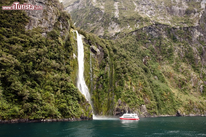 Le scogliere del Milford Sound, in Nuova Zelanda - La regione che rivaleggia per bellezza con la Norvegia è il Fiordland, che si trova sulla costa occidentale della regione del Southland, in Nuova Zelanda. Qui l'erosione glaciale ha scavato dei bellissimi fiordi, alcuni davvero straordinari come il Milford Sound, meta di crociere ed escursioni di trekking. Il suo versante nord, costituito da rocce granitiche, si tuffa verticalmente in mare, raggiungendo in alcuni punti precipizi di oltre 700 metri. Da queste pareti delle impressionanti cascate si gettano direttamente in mare, come è il caso delle Stirling falls alte quasi 200 metri sopra il livello del mare, e raggiungibili alla base anche dai tour in barca che navigano lungo il grande  fiordo - © Adwo / Shutterstock.com