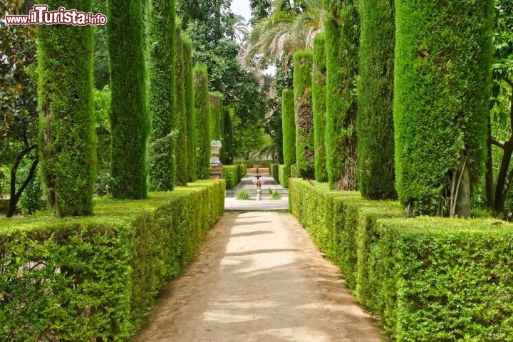 Immagine Il giardino dei poeti all'Alcazar di Siviglia - © S.Borisov / Shutterstock.com