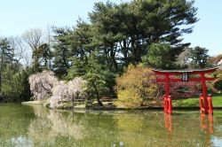 Giardino Giapponese, New York City: il settore ...