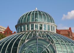 Giardino d'inverno, Brooklyn Botanic Garden: in alcuni padiglioni dei giadini, come nel Warm Temperate Pavilion, la temperatura è sempre calda, ed è per questo che ospita piante ...