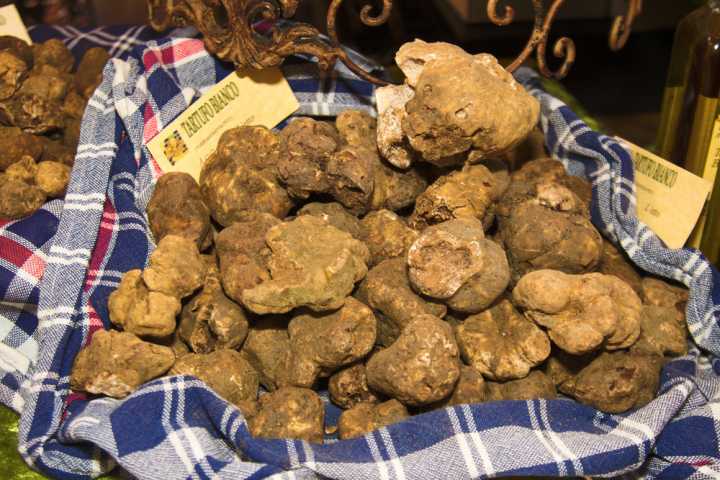 Sagra del Tartufo del Bosco della Panfilia Sant\'Agostino