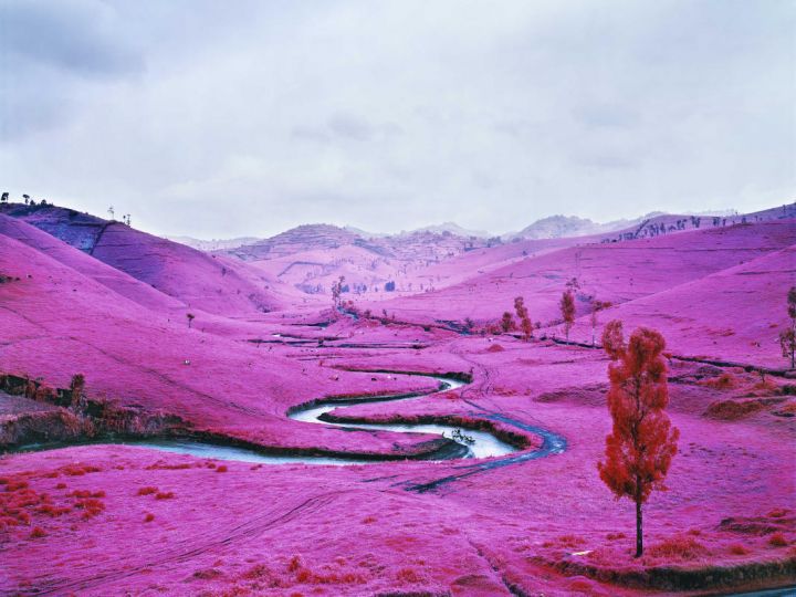 Richard Mosse: Displaced Bologna